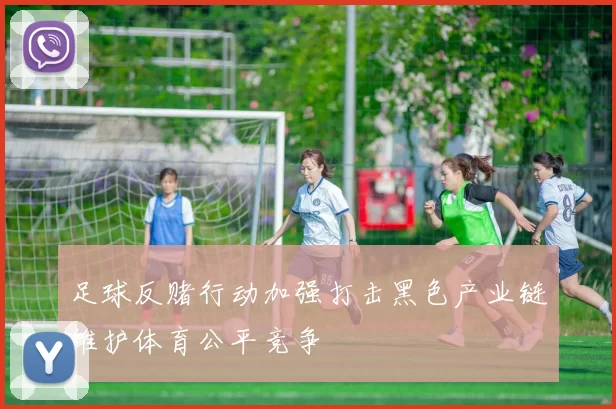 足球反赌行动加强打击黑色产业链维护体育公平竞争